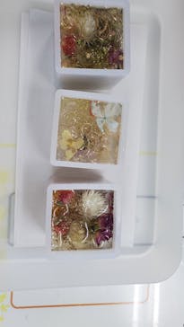 ずこうしつ〜sugamo〜に投稿された画像（2021/8/1）