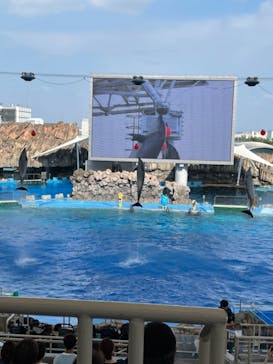 名古屋港水族館に投稿された画像（2021/8/1）