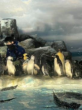 名古屋港水族館に投稿された画像（2021/8/1）