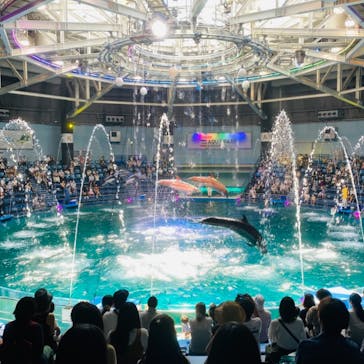 マクセル アクアパーク品川に投稿された画像（2021/8/1）