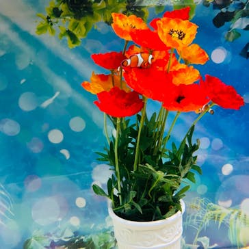 マクセル アクアパーク品川に投稿された画像（2021/8/1）