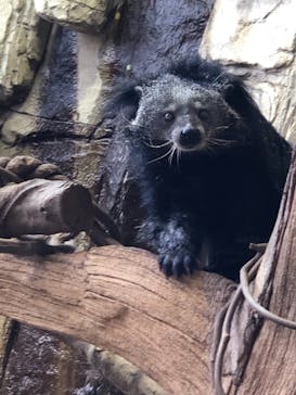 那須どうぶつ王国に投稿された画像（2021/8/1）