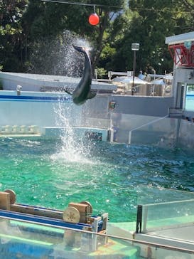 しながわ水族館に投稿された画像（2021/8/1）