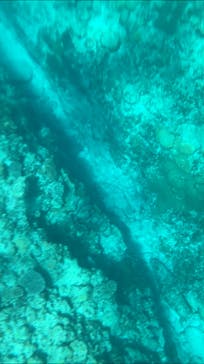 マリンクラブ ベリー 那覇店に投稿された画像（2021/8/1）