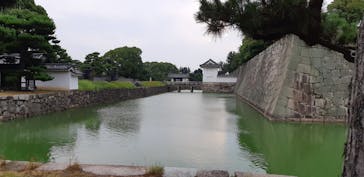 元離宮二条城に投稿された画像（2021/8/1）