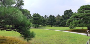 元離宮二条城に投稿された画像（2021/8/1）