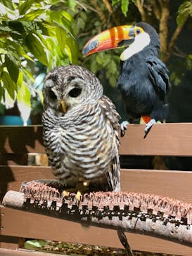 Moff animal world MARK IS みなとみらい店に投稿された画像（2021/8/1）