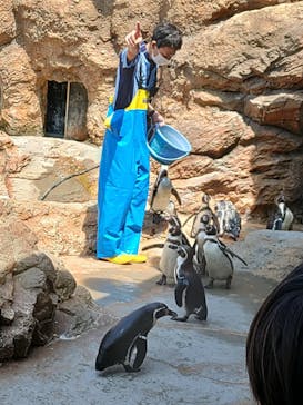 島根県立 しまね海洋館に投稿された画像（2021/8/1）