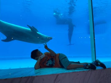 マリンワールド海の中道に投稿された画像（2021/8/1）