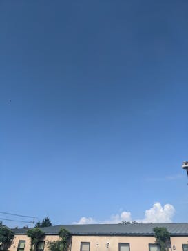 白井の湯に投稿された画像（2021/8/1）