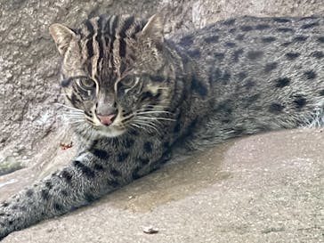 神戸どうぶつ王国に投稿された画像（2021/8/1）