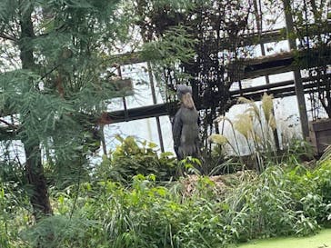 神戸どうぶつ王国に投稿された画像（2021/8/1）