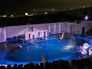 仙台うみの杜水族館に投稿された画像（2021/8/1）