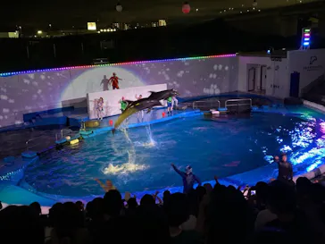 仙台うみの杜水族館に投稿された画像（2021/8/1）