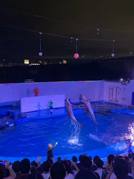 仙台うみの杜水族館に投稿された画像（2021/8/1）