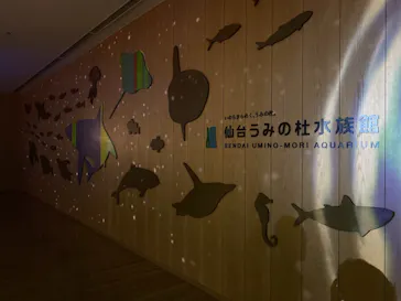 仙台うみの杜水族館に投稿された画像（2021/8/1）