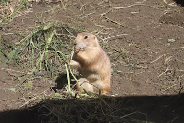 横浜・八景島シーパラダイスに投稿された画像（2021/8/1）