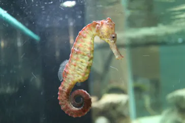 横浜・八景島シーパラダイスに投稿された画像（2021/8/1）