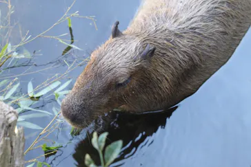 横浜・八景島シーパラダイスに投稿された画像（2021/8/1）