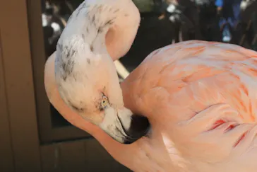 横浜・八景島シーパラダイスに投稿された画像（2021/8/1）