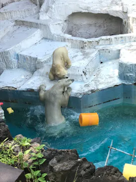 天王寺動物園に投稿された画像（2021/8/1）