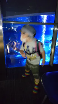 すみだ水族館に投稿された画像（2021/8/1）