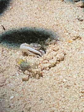 サンシャイン水族館に投稿された画像（2021/8/1）