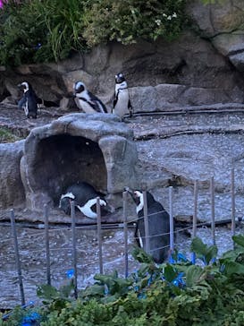 サンシャイン水族館に投稿された画像（2021/8/1）