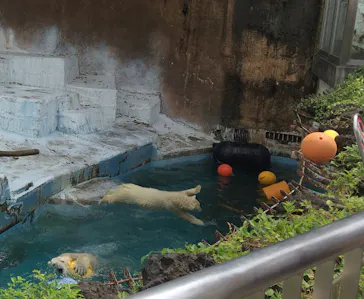 天王寺動物園に投稿された画像（2021/8/1）
