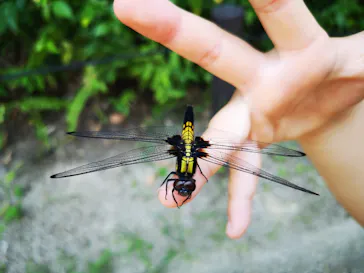 天王寺動物園に投稿された画像（2021/8/1）