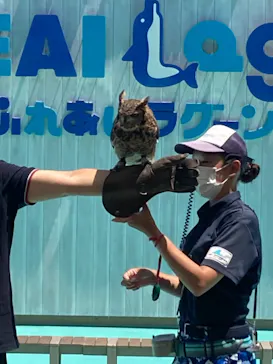 横浜・八景島シーパラダイスに投稿された画像（2021/8/1）