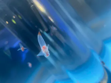 横浜・八景島シーパラダイスに投稿された画像（2021/8/1）