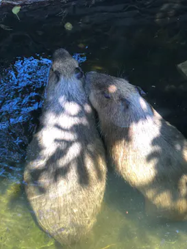 横浜・八景島シーパラダイスに投稿された画像（2021/8/1）