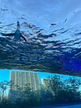 サンシャイン水族館に投稿された画像（2021/8/2）