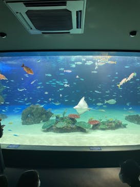 サンシャイン水族館に投稿された画像（2021/8/2）