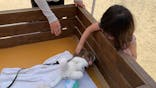 しろとり動物園に投稿された画像（2021/8/2）