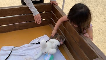 しろとり動物園に投稿された画像（2021/8/2）