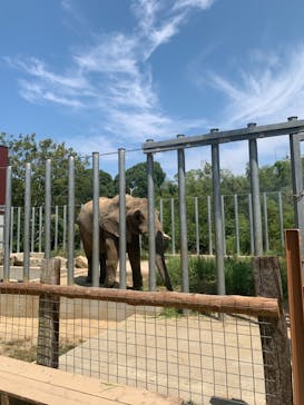 しろとり動物園に投稿された画像（2021/8/2）