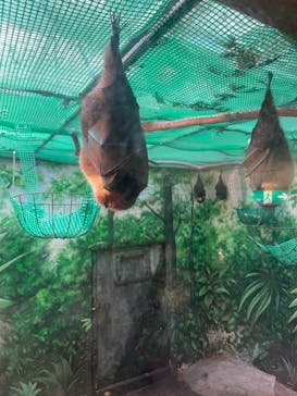 伊豆シャボテン動物公園に投稿された画像（2021/8/2）