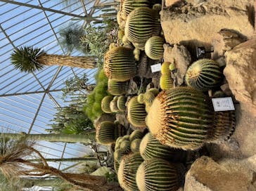 伊豆シャボテン動物公園に投稿された画像（2021/8/2）