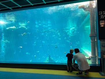 箱根園水族館に投稿された画像（2021/8/2）