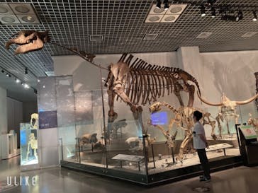 国立科学博物館に投稿された画像（2021/8/2）