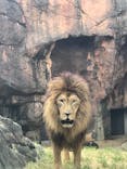 天王寺動物園に投稿された画像（2021/8/2）