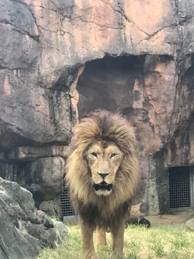 天王寺動物園に投稿された画像（2021/8/2）