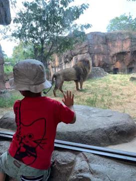天王寺動物園に投稿された画像（2021/8/2）