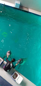 マクセル アクアパーク品川に投稿された画像（2021/8/2）
