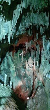 あぶくま洞に投稿された画像（2021/8/2）