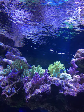 すみだ水族館に投稿された画像（2021/8/2）