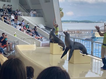 マリンワールド海の中道に投稿された画像（2021/8/2）
