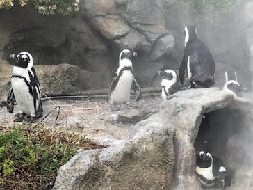 サンシャイン水族館に投稿された画像（2021/8/2）